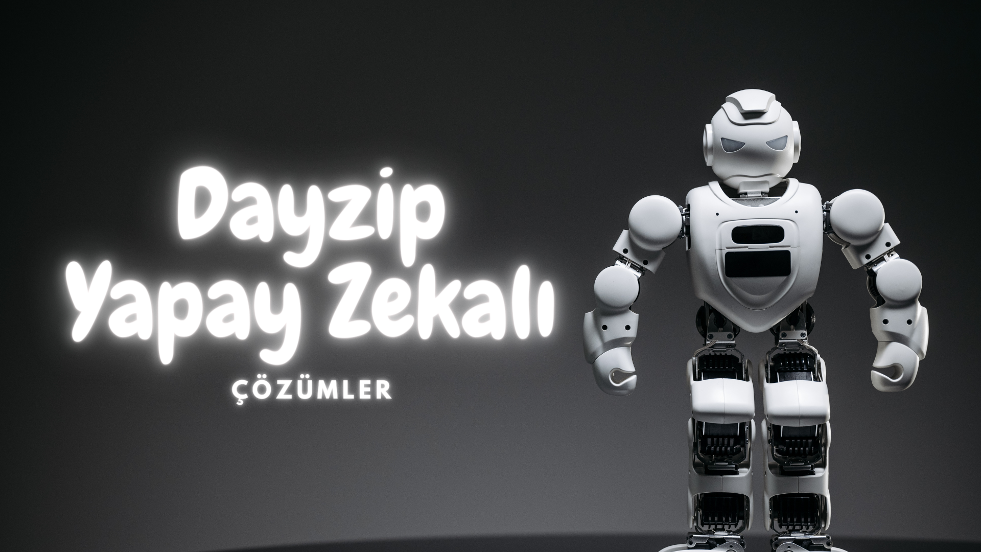 Dayzip 17 Farklı Analiz
